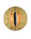 Pinders Gold Wall Sconce (92|5000-0130)