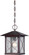 Vega -1 Light - Hanging Lantern with Clear Seed Glass - Classic Bronze Finish (81|60/5614)