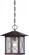 Vega; 1 Light; Outdoor Hanging Fixture with Clear Seed Glass; Classic Bronze Finish (81|60/5614)