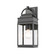 Fulton 1-Light Outdoor Wall Light (12|AC8220BK)