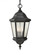 Martinsville traditional 3-light outdoor exterior pendant lantern in black finish with clear seeded (38|OL5911BK)