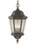 Martinsville traditional 3-light outdoor exterior pendant lantern in corinthian bronze finish with c (38|OL5911CB)