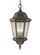 Martinsville Three Light Outdoor Pendant Lantern (38|OL5911CB)