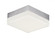 Illuminaire II-Flush Mount (19|57686CLFTSN)