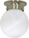 1 Light; 6 in.; Ceiling Mount; Alabaster Ball; Color retail packaging; Brushed Nickel Finish (81|60/6008)
