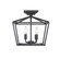 Townsend 4-Light Ceiling Light in Matte Black (128|6-328-4-89)