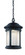 9'' LED Hanging Lantern (21|LED31134A-ORB)