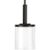 P500192-020 1-100W MED MINI-PENDANT (149|P500192-020)