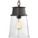 Greene Ridge Collection One-Light Hanging Lantern (149|P550033-129)