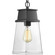 Greene Ridge Collection One-Light Hanging Lantern (149|P550033-031)