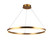 Circa 31'' LED  Ring Pendant in Gold (4450|HF5028-GL)