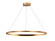 Circa 39'' LED  Ring Pendant in Gold (4450|HF5029-GL)