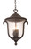 Santa Barbara Outdoor 3 Light Medium Hanging Lantern (133|9007BB)