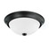 2 Light Flush Mount (42|214722MB)