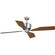 Chapin Collection 56'' Four-Blade Antique Nickel Ceiling Fan (149|P250022-081)