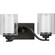 Kene Collection Two-Light Graphite Clear Glass Craftsman Bath Vanity Light (149|P300121-143)