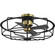 Loring Collection 33'' Four-Blade Black Ceiling Fan (149|P250006-031)