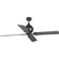 Royer Collection 56'' Four-Blade Forged Black Ceiling Fan (149|P250010-080)