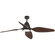 Holland Collection 60'' Four-Blade Oil Rubbed Bronze Ceiling Fan (149|P250032-108-30)
