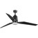 Bixby Collection 60'' Indoor/Outdoor Three-Blade Black Chrome Ceiling Fan (149|P250038-231-30)