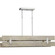 Hemsworth Collection Four-Light Galvanized Finish Coastal Chandelier Light (149|P400229-141)