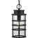 Port Royal Collection One-Light Hanging Lantern with DURASHIELD (149|P550061-031)