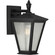 Cardiff Collection One-Light Small Wall Lantern with DURASHIELD (149|P560166-031)