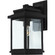 Freemont 1-Light Outdoor Wall Light (12|AC8290BK)