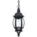 1 Light Outdoor Hanging Lantern (42|9868BK)