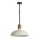 1 Light Pendant (42|340612PW)