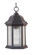 Hex Style Cast 1 Light Outdoor Pendant in Textured Black (Clear Seeded Glass) (20|Z291-TB-CS)