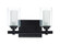 Celeste 2 Light Vanity in Espresso (20|16712ESP2)