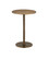 Dasari Brass Accent Table (92|4188)