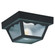 Outdoor Ceiling traditional 2-light outdoor exterior ceiling flush mount in black finish with clear (38|7569-32)