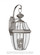 Lancaster traditional 2-light outdoor exterior wall lantern sconce in antique brushed nickel silver (38|8039-965)