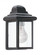 Mullberry Hill traditional 1-light outdoor exterior wall lantern sconce in black finish with clear b (38|8588-12)