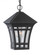 Herrington transitional 1-light outdoor exterior hanging ceiling pendant in black finish with clear (38|60131-12)