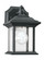 Wynfield traditional 1-light outdoor exterior wall lantern sconce downlight in black finish with cle (38|85200-12)