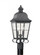 Chatham traditional 2-light LED outdoor exterior post lantern in oxidized bronze finish with clear s (38|8262EN-46)
