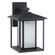 Hunnington contemporary 1-light outdoor exterior medium wall lantern in black finish with etched see (38|89031-12)
