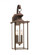 Jamestowne transitional 2-light LED outdoor exterior wall lantern in antique bronze finish with clea (38|8468EN-71)