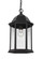 Sevier traditional 1-light outdoor exterior ceiling hanging pendant in black finish with clear glass (38|6238701-12)