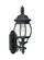 Wynfield traditional 2-light LED outdoor exterior wall lantern sconce in black finish with clear bev (38|88201EN-12)