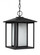 Hunnington contemporary 1-light LED outdoor exterior pendant in black finish with etched seeded glas (38|69029EN3-12)
