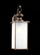 Jamestowne transitional 1-light LED extra large outdoor exterior wall lantern in antique bronze fini (38|84670EN3-71)