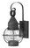 Medium Wall Mount Lantern (87|2206DZ)