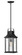 Medium Hanging Lantern (87|2392TK)