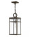 Medium Hanging Lantern (87|2802OZ)