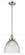 Seneca Falls - 1 Light - 10 inch - Polished Chrome - Stem Hung - Mini Pendant (3442|201S-PC-G222-LED)