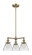 Cone - 3 Light - 22 inch - Antique Brass - Stem Hung - Chandelier (3442|207-AB-G42-LED)